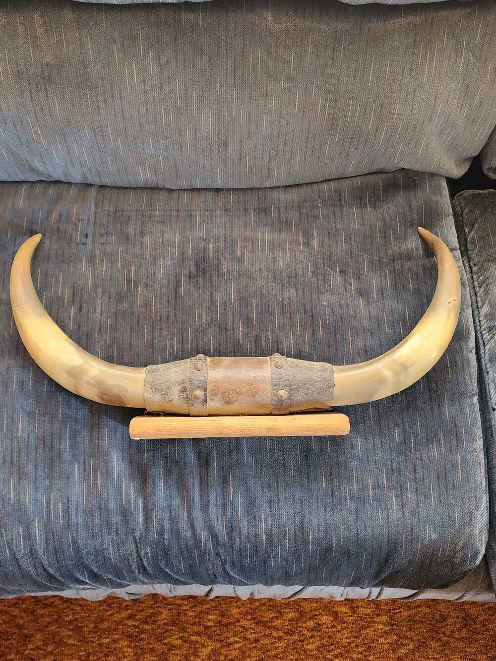 Decorative Steer Horn Wall Mount